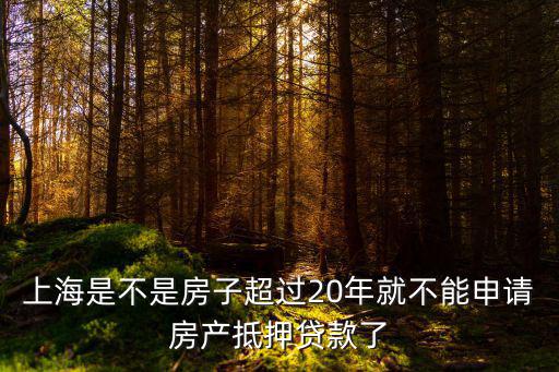 上海是不是房子超過20年就不能申請房產(chǎn)抵押貸款了