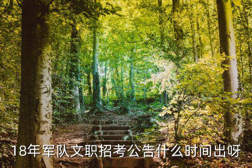 18年軍隊文職招考公告什么時間出呀