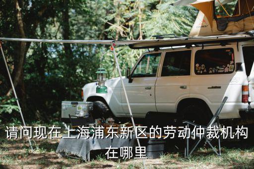 請問現在上海浦東新區的勞動仲裁機構在哪里