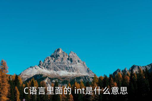 int是什么意思,intaint-計算機語言: