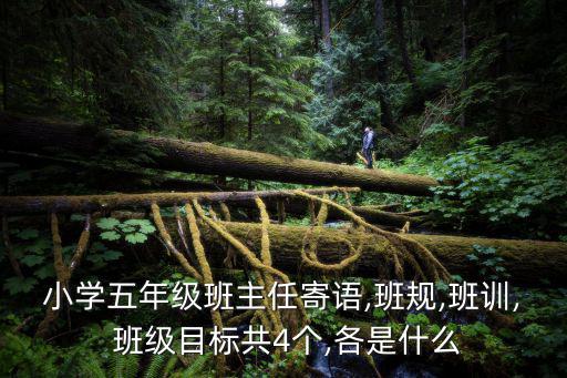 小學五年級班主任寄語,班規,班訓, 班級目標共4個,各是什么