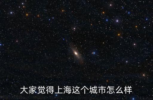 大家覺得上海這個城市怎么樣