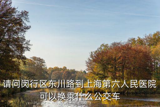 閔行江川路至上海市第六人民醫院，從上海市江川路荷巷橋到上海市第六人民醫院坐哪幾路公交哪個公交站