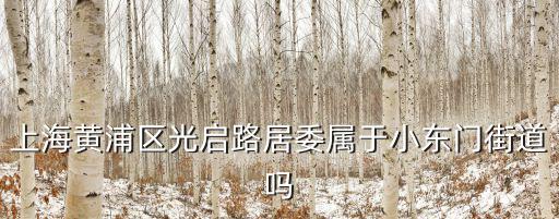 上?？蘖说木游瘯泟⒚缡钦l(shuí)，上海黃浦區(qū)光啟路居委屬于小東門街道嗎