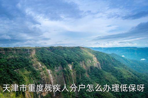 天津市重度殘疾人分戶怎么辦理低保呀