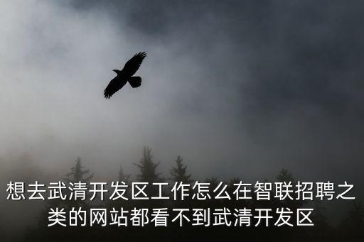 天津市武清區(qū)軟件招聘，武清開發(fā)區(qū)招工