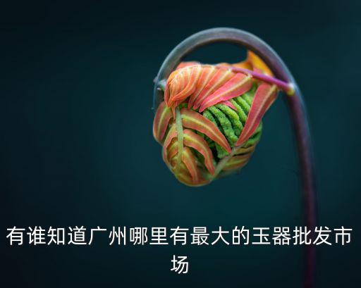 有誰知道廣州哪里有最大的玉器批發市場