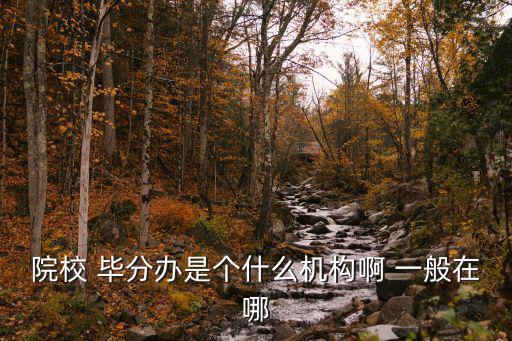 院校 畢分辦是個什么機構啊 一般在哪