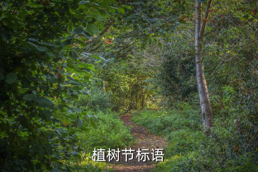 植樹標語，種樹寫上什么標語