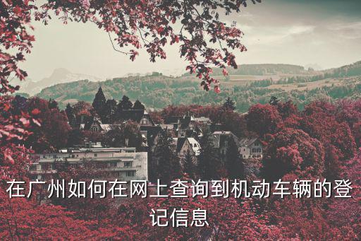 在廣州如何在網上查詢到機動車輛的登記信息