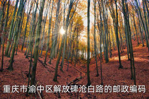 重慶市渝中區解放碑滄白路的郵政編碼