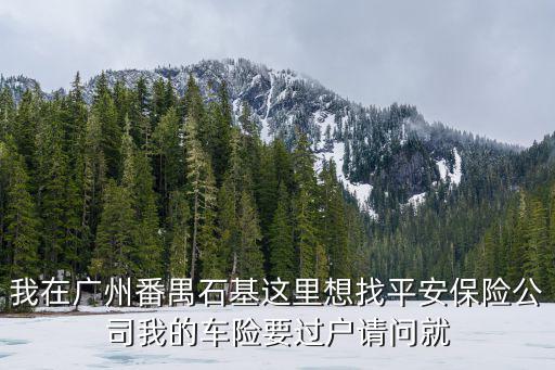 廣東省廣州市石基四中的保險單，查詢粵c4c426的保險單