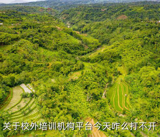 關于校外培訓機構平臺今天咋么打不開
