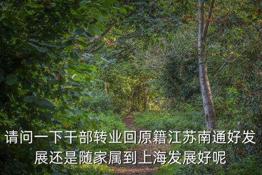 請問一下干部轉業回原籍江蘇南通好發展還是隨家屬到上海發展好呢