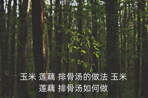 玉米蓮藕排骨湯,先排骨姜排骨蓮藕同煮一鍋水