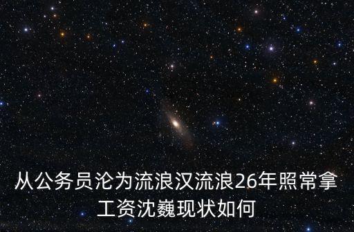 從公務員淪為流浪漢流浪26年照常拿工資沈巍現狀如何