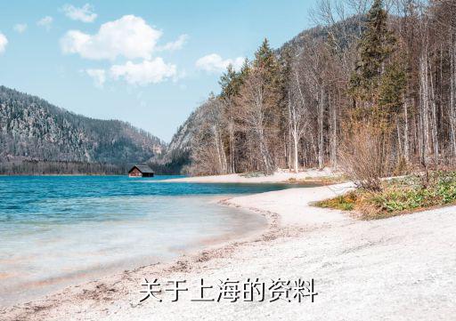 我要上海市的資料，關于上海的資料