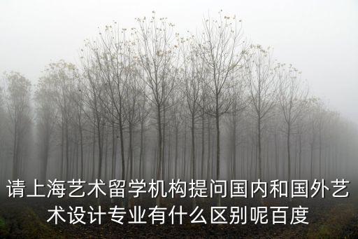 請上海藝術留學機構提問國內和國外藝術設計專業有什么區別呢百度