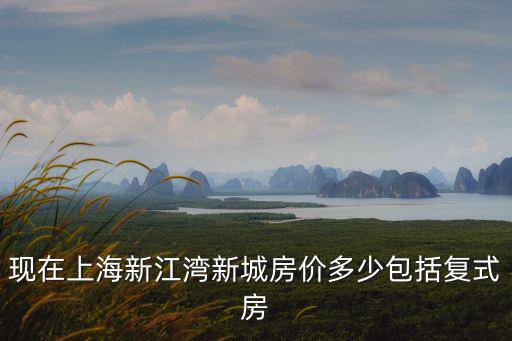上海市新江灣城二手房，現(xiàn)在上海新江灣新城房?jī)r(jià)多少包括復(fù)式房