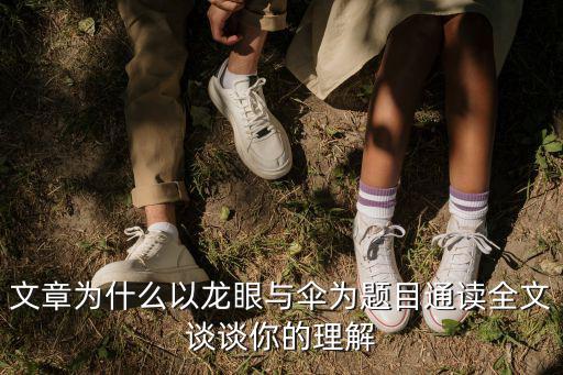 龍眼與傘，龍眼與傘閱讀答案