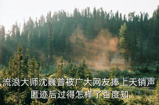 上海市沈魏圖片，流浪大師沈巍曾被廣大網友捧上天銷聲匿跡后過得怎樣了百度知