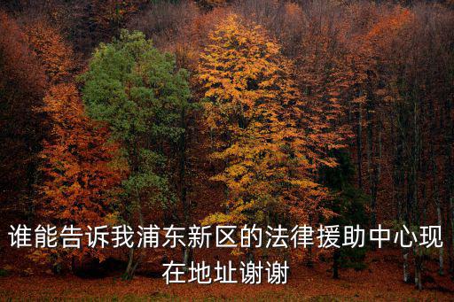 誰能告訴我浦東新區的法律援助中心現在地址謝謝