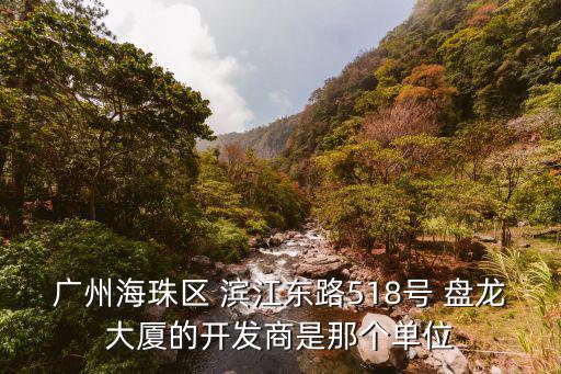 廣州海珠區(qū) 濱江東路518號(hào) 盤龍大廈的開發(fā)商是那個(gè)單位