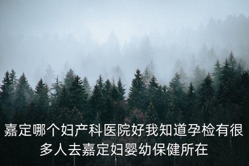 上海市嘉定區哪個產科醫院好，嘉定哪個婦產科醫院好我知道孕檢有很多人去嘉定婦嬰幼保健所在