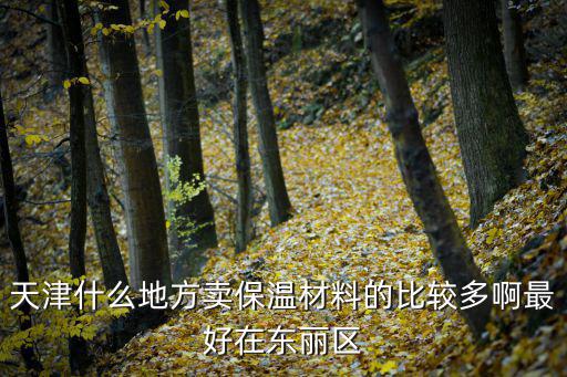 天津什么地方賣保溫材料的比較多啊最好在東麗區(qū)