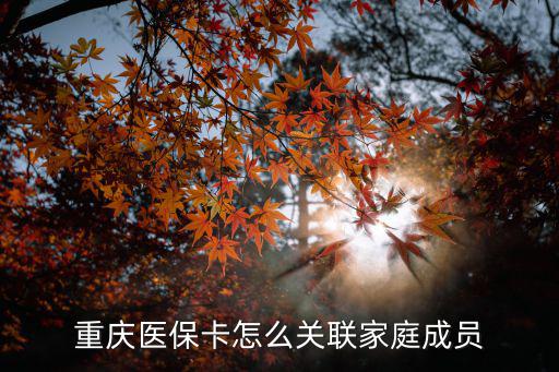 重慶市醫保卡關聯政策文件，重慶醫療保險個人賬戶關聯辦理指南