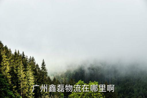 廣州鑫磊物流在哪里啊