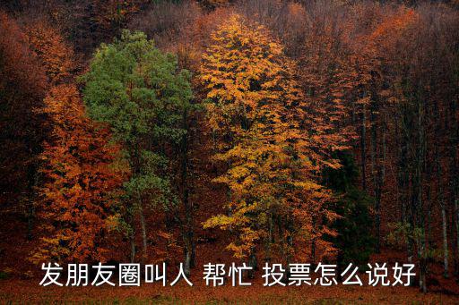 幫忙投票,投票日】王瑞杰:沒必要就幫我投票!
