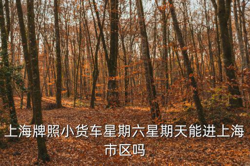 上海牌照小貨車星期六星期天能進上海市區嗎