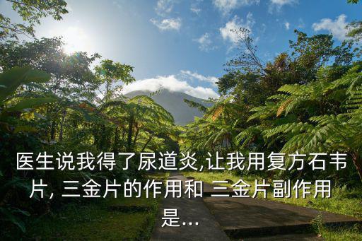 醫生說我得了尿道炎,讓我用復方石韋片, 三金片的作用和 三金片副作用是...