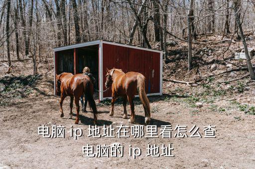  電腦 ip 地址在哪里看怎么查 電腦的 ip 地址