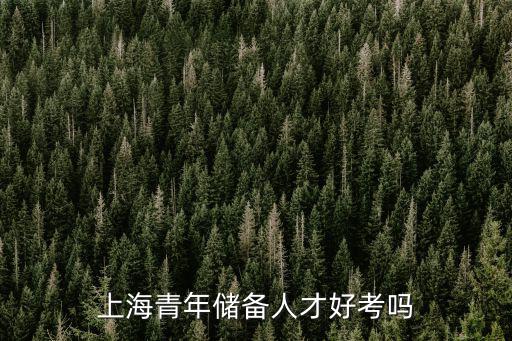 上海青年儲備人才好考嗎