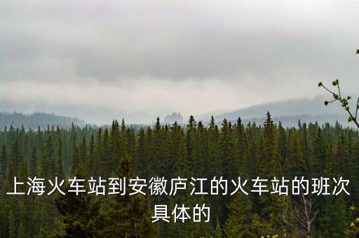 上海市盈寶站到廬江縣，上海站到盈寶長途客運車站怎么走