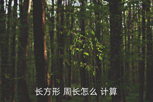周長計算方法,正方形的長和寬是怎么回事?