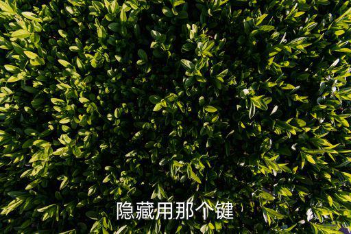 隱藏快捷鍵，隱藏用那個(gè)鍵