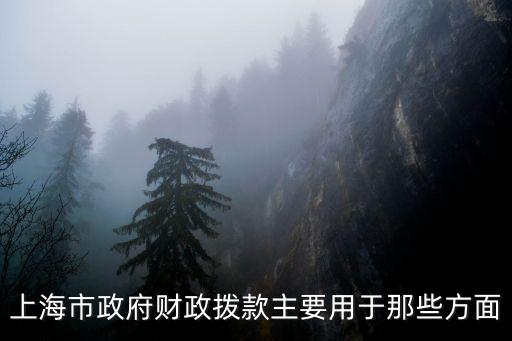 上海市政府財政撥款主要用于那些方面