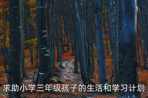 求助小學三年級孩子的生活和學習計劃