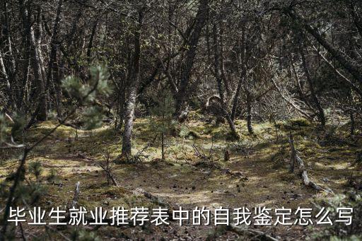 畢業生就業推薦表中的自我鑒定怎么寫