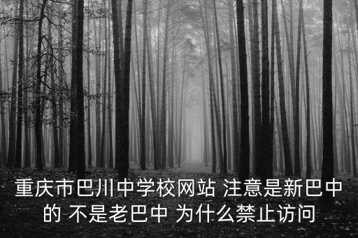 重慶市巴川中學(xué)校網(wǎng)站 注意是新巴中的 不是老巴中 為什么禁止訪問