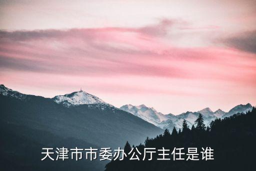 天津市市委辦公廳主任是誰