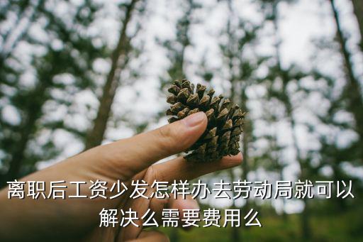 離職后工資少發怎樣辦去勞動局就可以解決么需要費用么