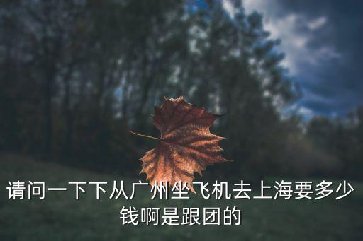 廣州飛往上海的公務(wù)艙多少錢，廣州到上海機(jī)票多少錢