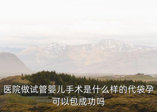 醫院做試管嬰兒手術是什么樣的代袋孕可以包成功嗎