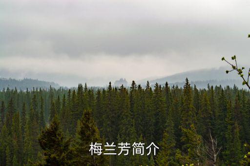 梅蘭芳簡介