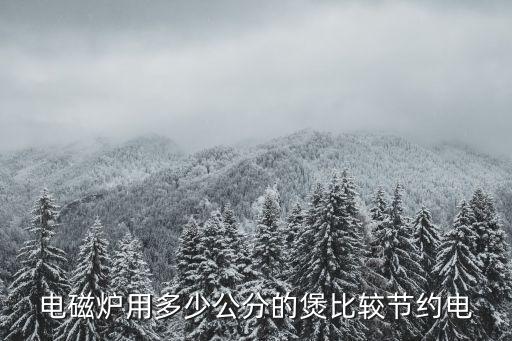 電磁爐用多少公分的煲比較節約電
