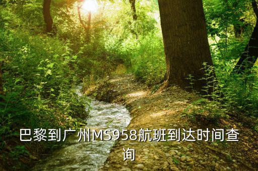 巴黎到廣州MS958航班到達(dá)時(shí)間查詢